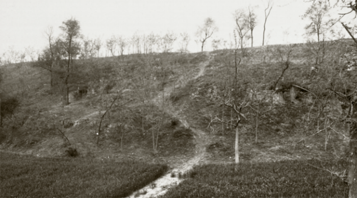 河南商丘古代黄河大堤遗存 王建平摄影.png