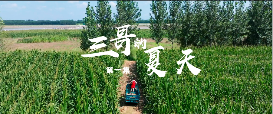 5.(精品迭出部分)三哥的夏天.png