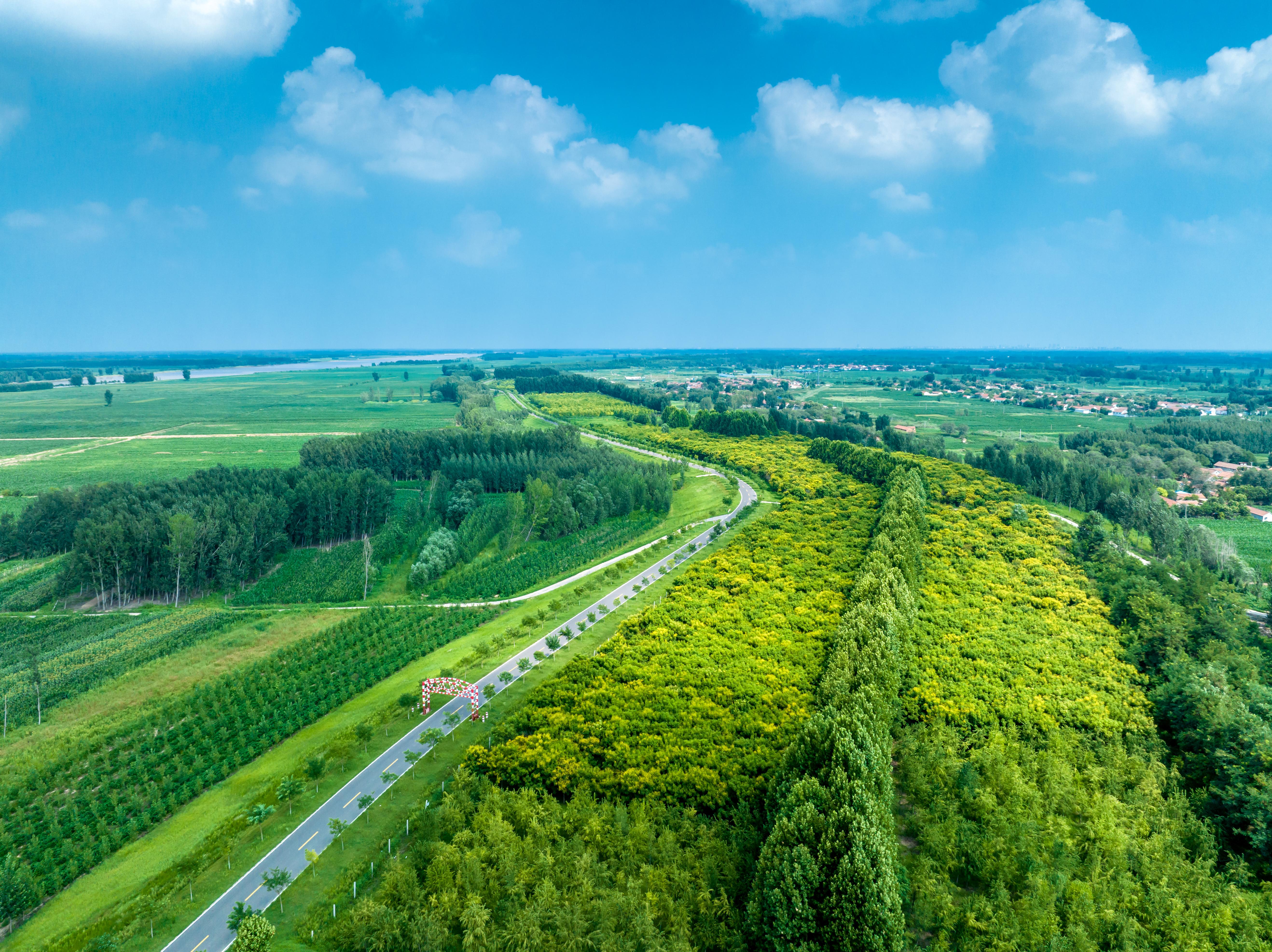 淄博黄河生态廊道.jpg