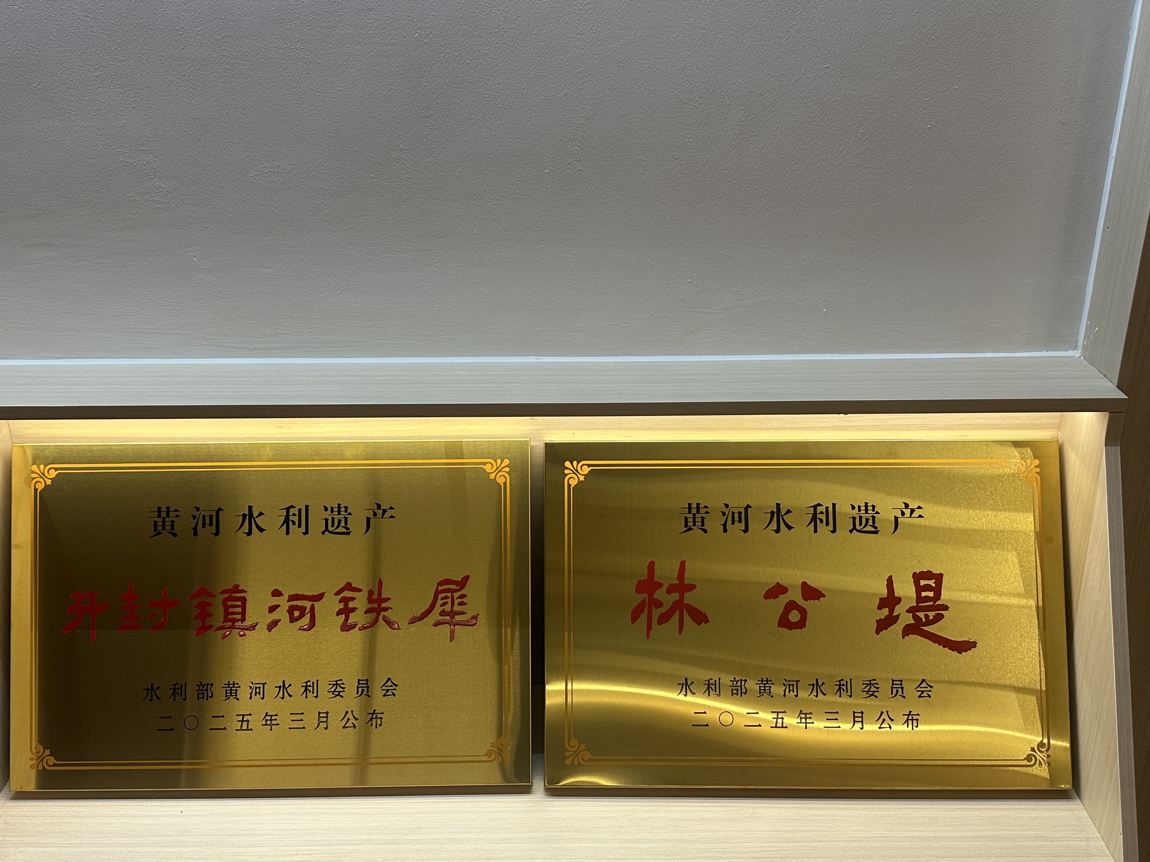 镇河铁犀、林公堤获黄河水利遗产称号.jpg