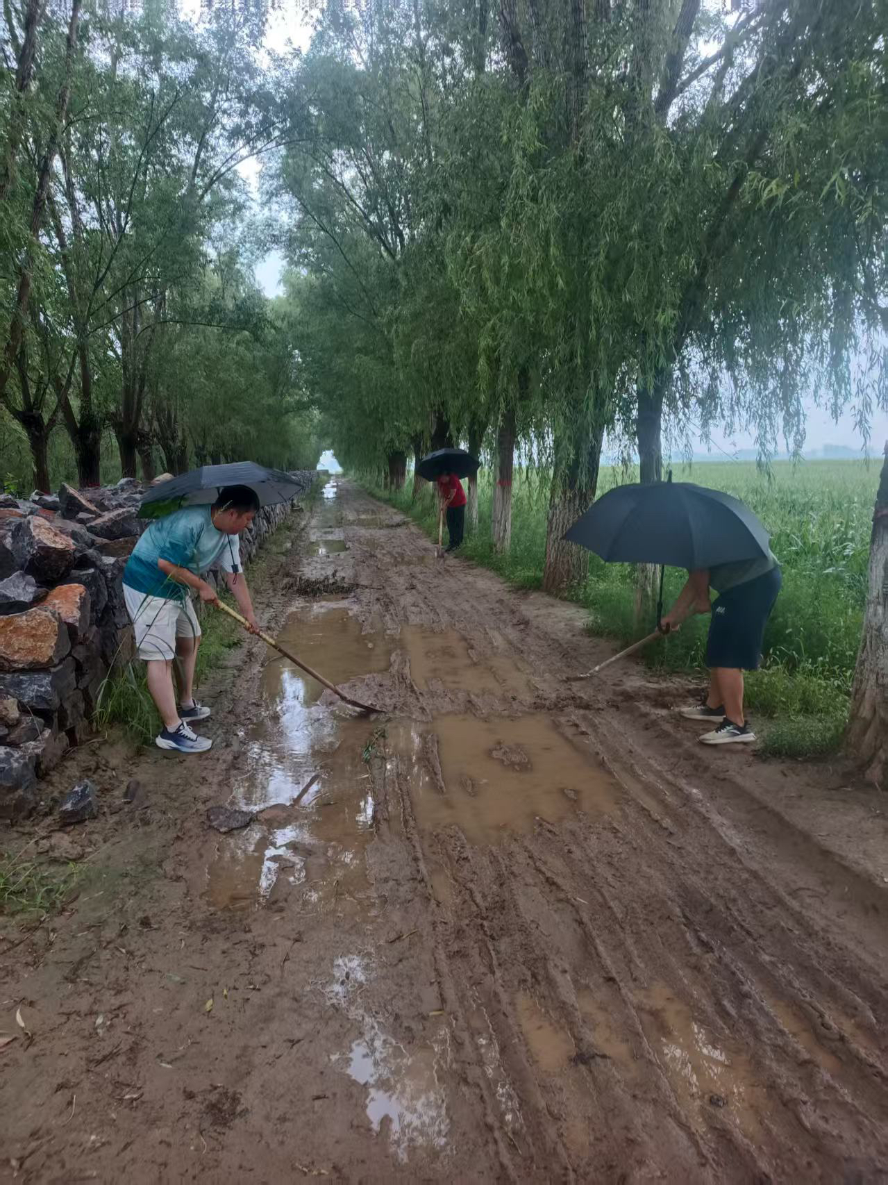 2隐患整治1.jpg
