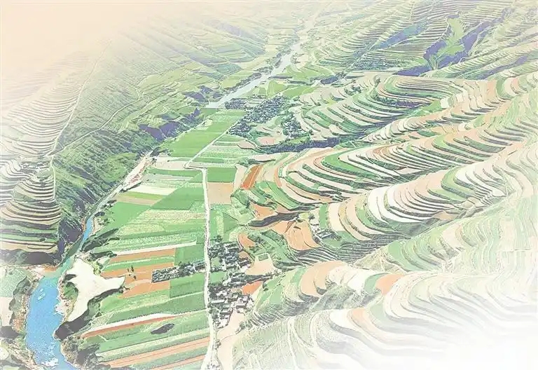 3801213fb80e7bec023941e07776e3299a506bbd.webp (1).jpg